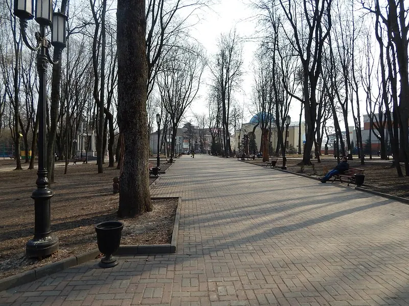 Брянский лес (музей)