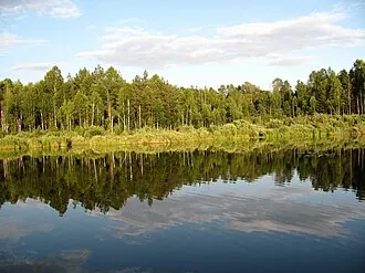 Орловское Полесье — фото 2