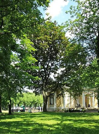 Михайловский сад — фото 3
