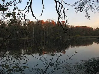 Клязьминский заказник