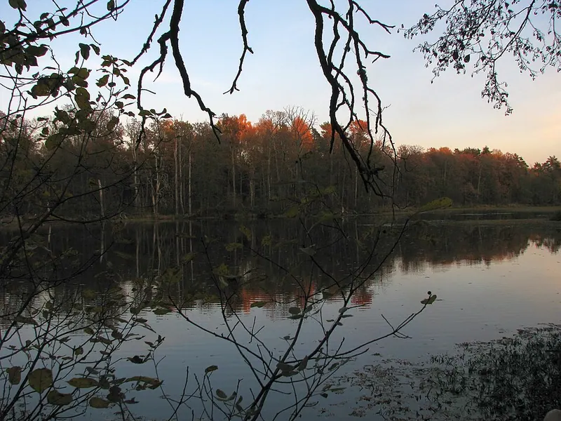 Клязьминский заказник