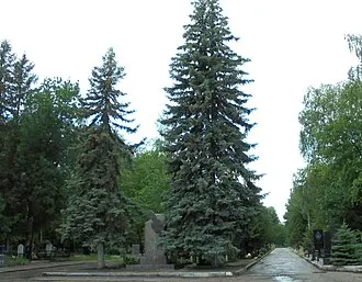 Новозападное кладбище (Пенза)