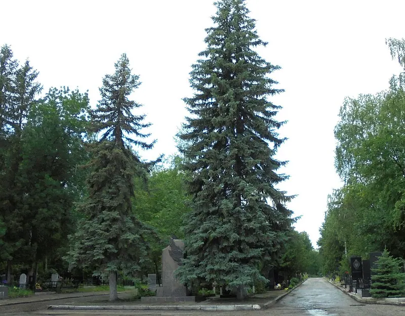 Новозападное кладбище (Пенза)
