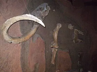 Музей природы Бурятии