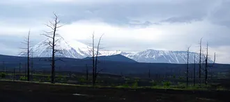 Толбачик