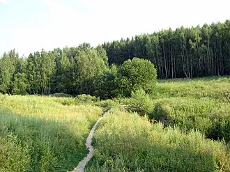 Битцевский лес — фото 2