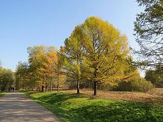 Измайлово (природно-исторический парк)