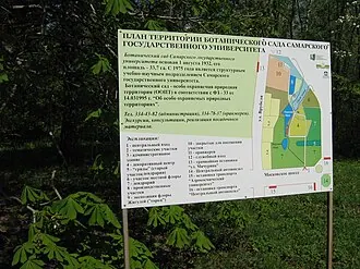 Ботанический сад Самарского университета — фото 2