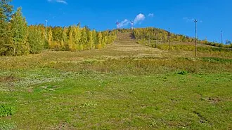 Волчиха (гора)