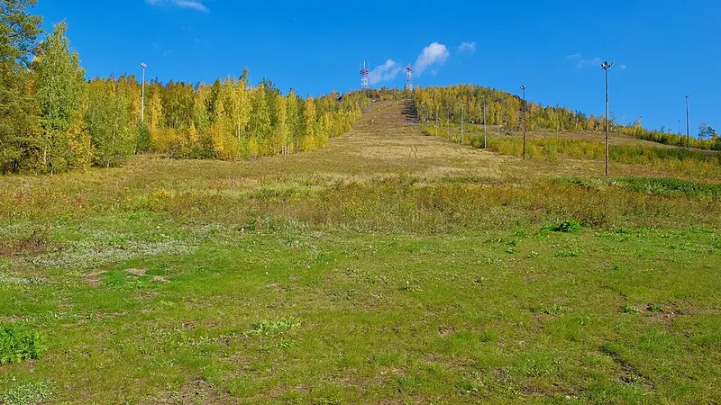 Волчиха (гора)