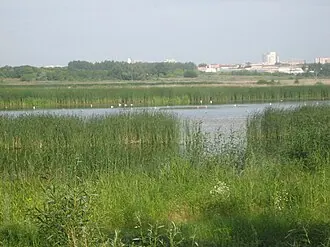 Птичья гавань