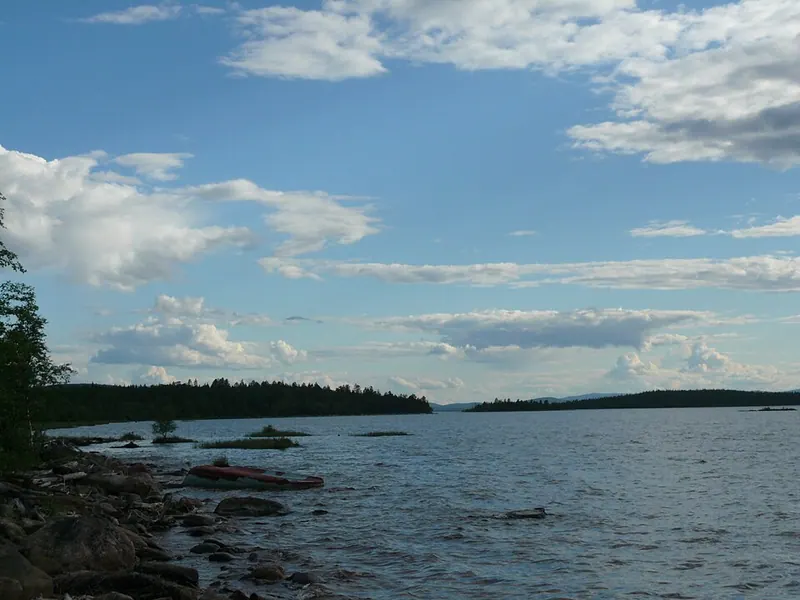 Лапландский лес