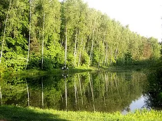 Бирюлёвский дендрарий — фото 3