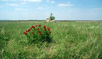 Хомутовская степь — фото 3