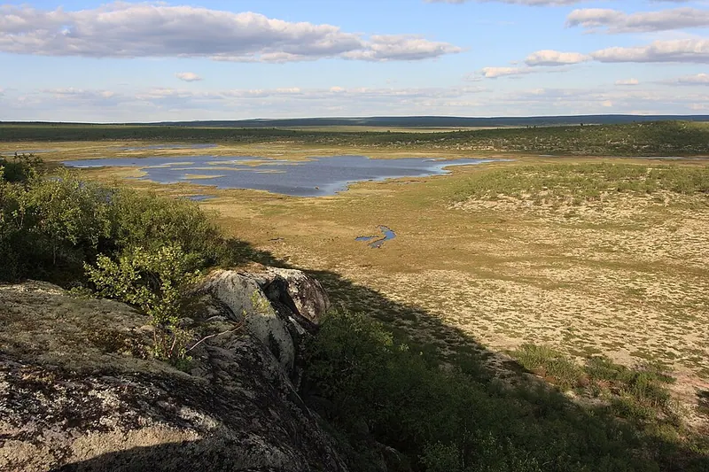 Место произрастания Бриории двуцветной у горы Видпахк
