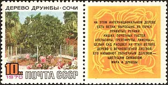 Дерево Дружбы