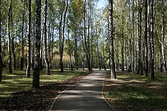 Пролетарский парк культуры и отдыха — фото 2