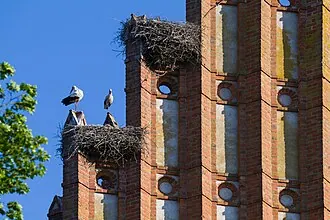 Алленбургская кирха — фото 2