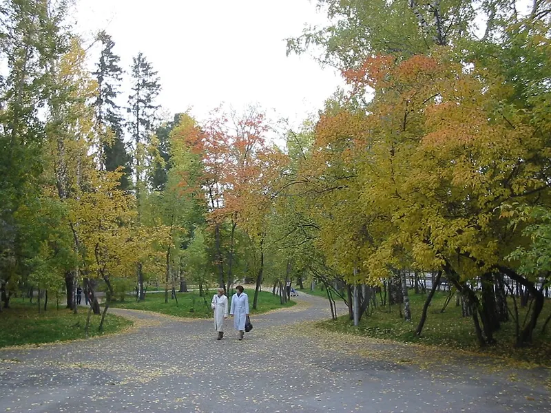 Городской сад (Томск)