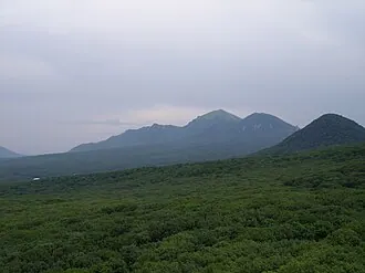 Бештаугорский лесной массив
