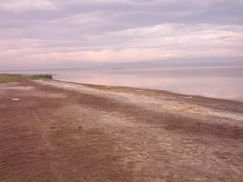 Хадын
