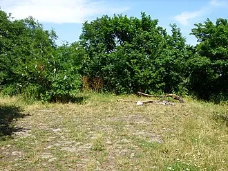 Железная (гора)