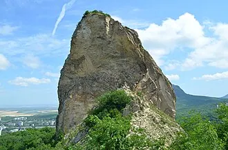 Медовая