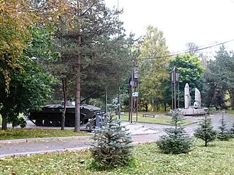 Чёрный тюльпан (Петрозаводск)