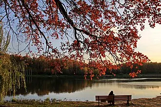 Сокольники (парк) — фото 3