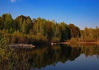 Челябинский городской бор