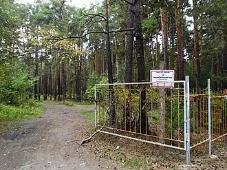 Челябинский городской бор — фото 2
