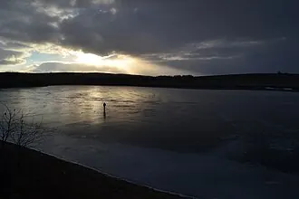 Карасиное