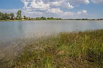 Ковалевское (озеро) — фото 3