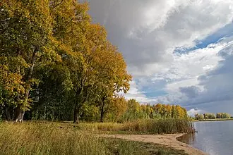 Ковалевское (озеро) — фото 4