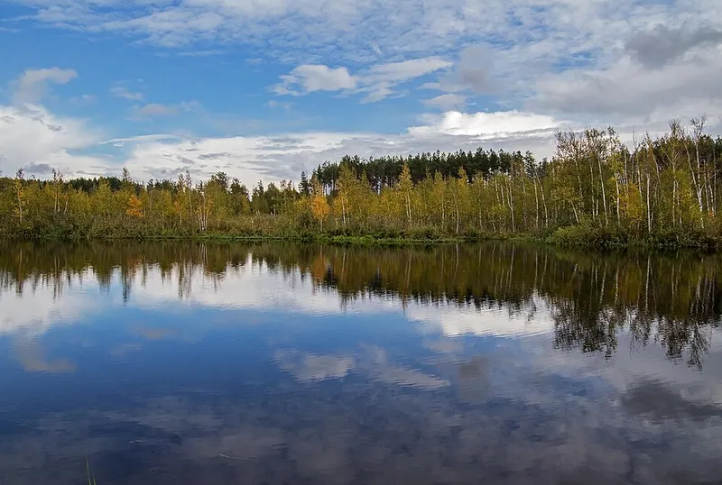 Моховое (озеро, Лаишевский район)