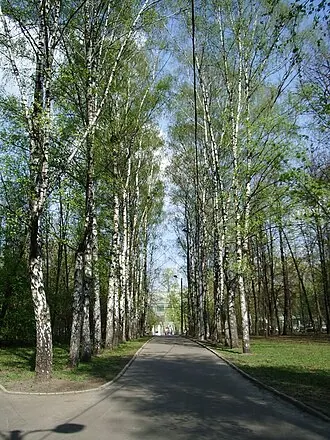 Парк имени Воровского — фото 3