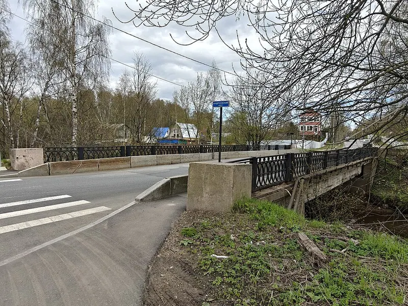 Андреевский мост (Санкт-Петербург)