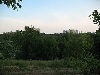 Люблинский парк — фото 2