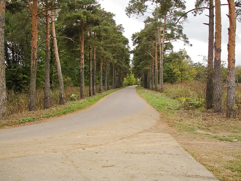 Бутовский лесопарк