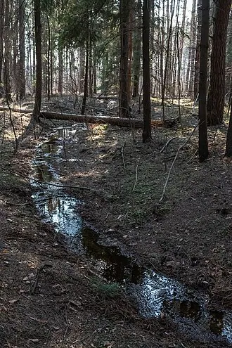 Горенский лесопарк