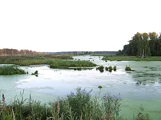 Лосиный Остров — фото 4