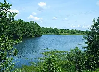 Шелубей (озеро)