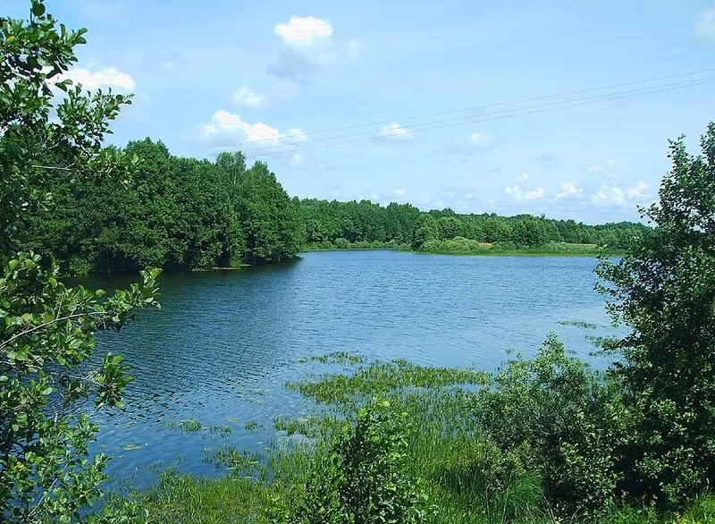 Шелубей (озеро)
