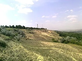Куцай