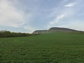 Брык