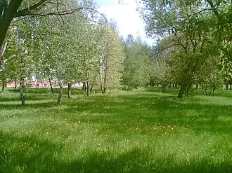 Дёмский парк