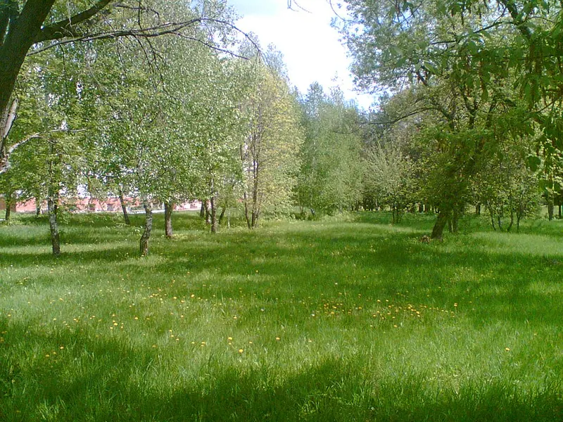 Дёмский парк