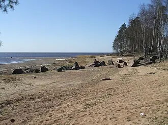 Береговой уступ «Серово» — фото 4