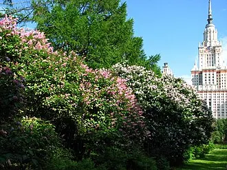 Ботанический сад биологического факультета МГУ — фото 3