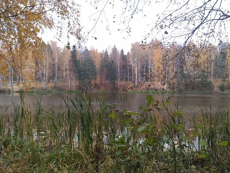 Харинка (парк)